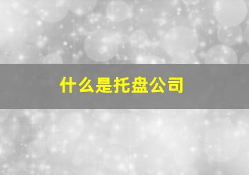 什么是托盘公司