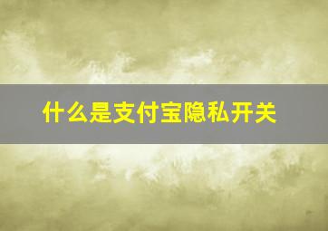 什么是支付宝隐私开关