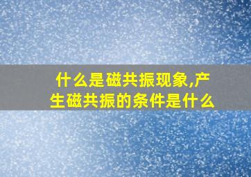 什么是磁共振现象,产生磁共振的条件是什么