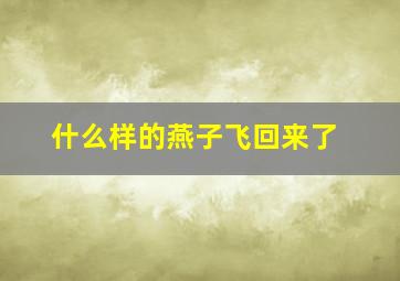 什么样的燕子飞回来了