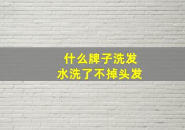 什么牌子洗发水洗了不掉头发