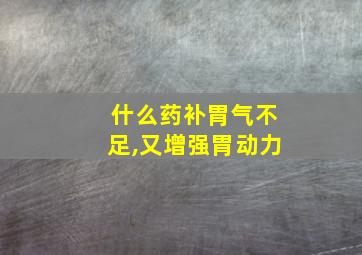 什么药补胃气不足,又增强胃动力