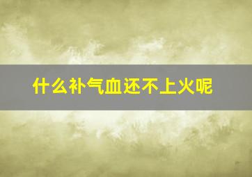 什么补气血还不上火呢