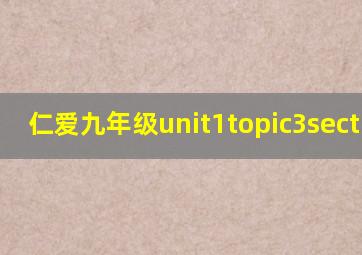 仁爱九年级unit1topic3sectionc