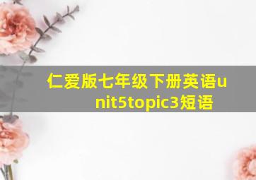 仁爱版七年级下册英语unit5topic3短语