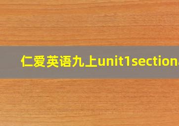 仁爱英语九上unit1sectiona