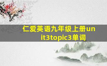 仁爱英语九年级上册unit3topic3单词