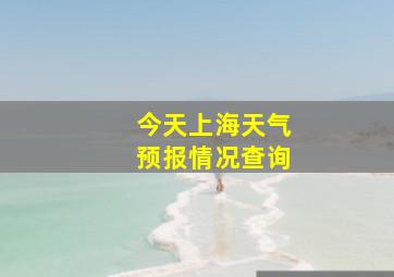 今天上海天气预报情况查询