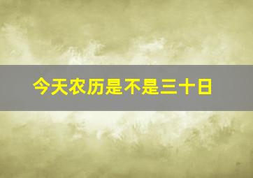 今天农历是不是三十日