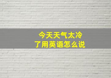 今天天气太冷了用英语怎么说