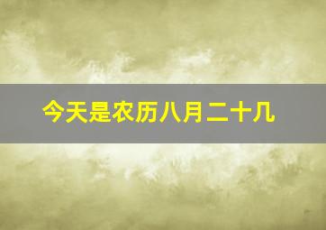 今天是农历八月二十几