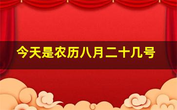 今天是农历八月二十几号