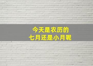 今天是农历的七月还是小月呢