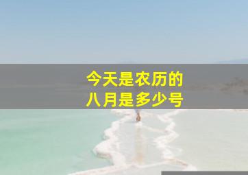 今天是农历的八月是多少号