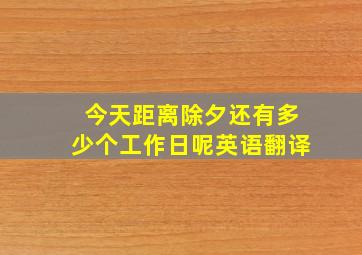 今天距离除夕还有多少个工作日呢英语翻译