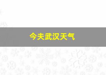 今夫武汉天气