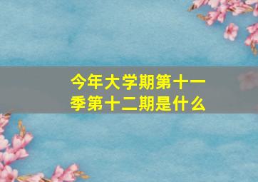 今年大学期第十一季第十二期是什么