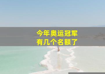 今年奥运冠军有几个名额了