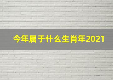 今年属于什么生肖年2021