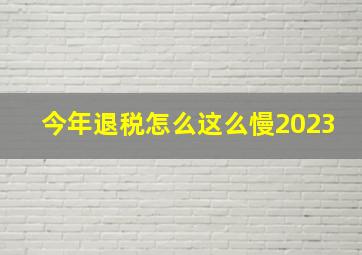 今年退税怎么这么慢2023