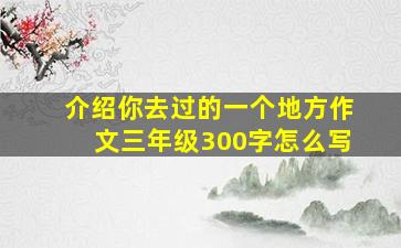 介绍你去过的一个地方作文三年级300字怎么写