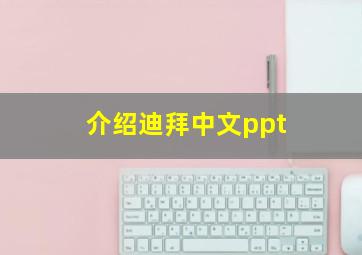 介绍迪拜中文ppt