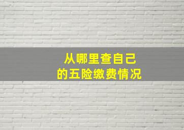 从哪里查自己的五险缴费情况