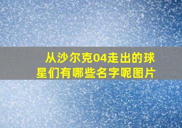 从沙尔克04走出的球星们有哪些名字呢图片