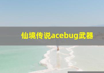 仙境传说acebug武器