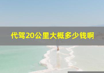 代驾20公里大概多少钱啊