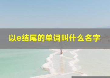 以e结尾的单词叫什么名字