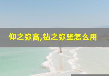 仰之弥高,钻之弥坚怎么用