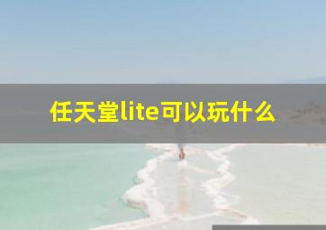 任天堂lite可以玩什么