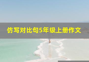 仿写对比句5年级上册作文