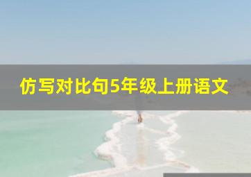 仿写对比句5年级上册语文