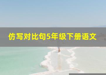 仿写对比句5年级下册语文