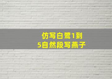 仿写白鹭1到5自然段写燕子