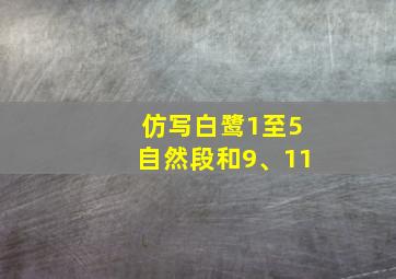 仿写白鹭1至5自然段和9、11