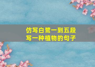 仿写白鹭一到五段写一种植物的句子