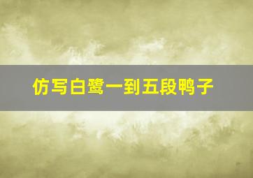 仿写白鹭一到五段鸭子