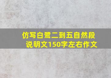 仿写白鹭二到五自然段说明文150字左右作文