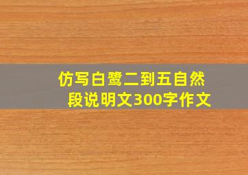 仿写白鹭二到五自然段说明文300字作文