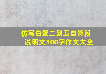 仿写白鹭二到五自然段说明文300字作文大全