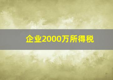 企业2000万所得税