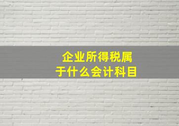 企业所得税属于什么会计科目