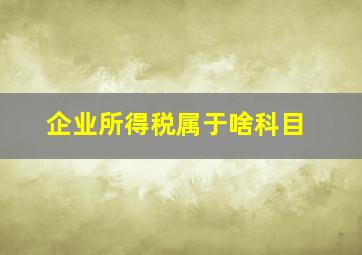 企业所得税属于啥科目