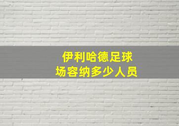 伊利哈德足球场容纳多少人员