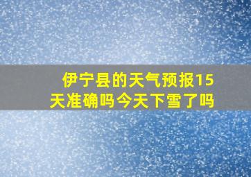 伊宁县的天气预报15天准确吗今天下雪了吗