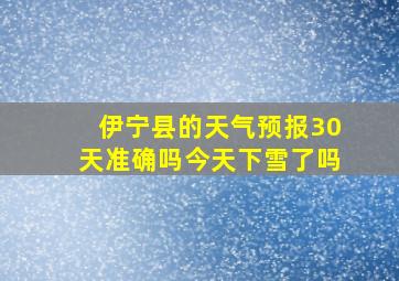 伊宁县的天气预报30天准确吗今天下雪了吗