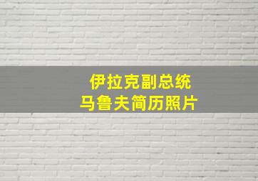 伊拉克副总统马鲁夫简历照片